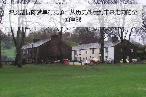深度剖析陈梦单打竞争：从历史战绩到未来走向的全面审视