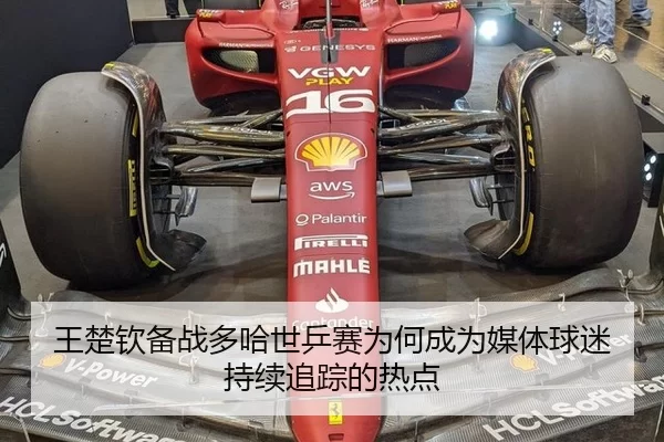 王楚钦备战多哈世乒赛为何成为媒体球迷持续追踪的热点